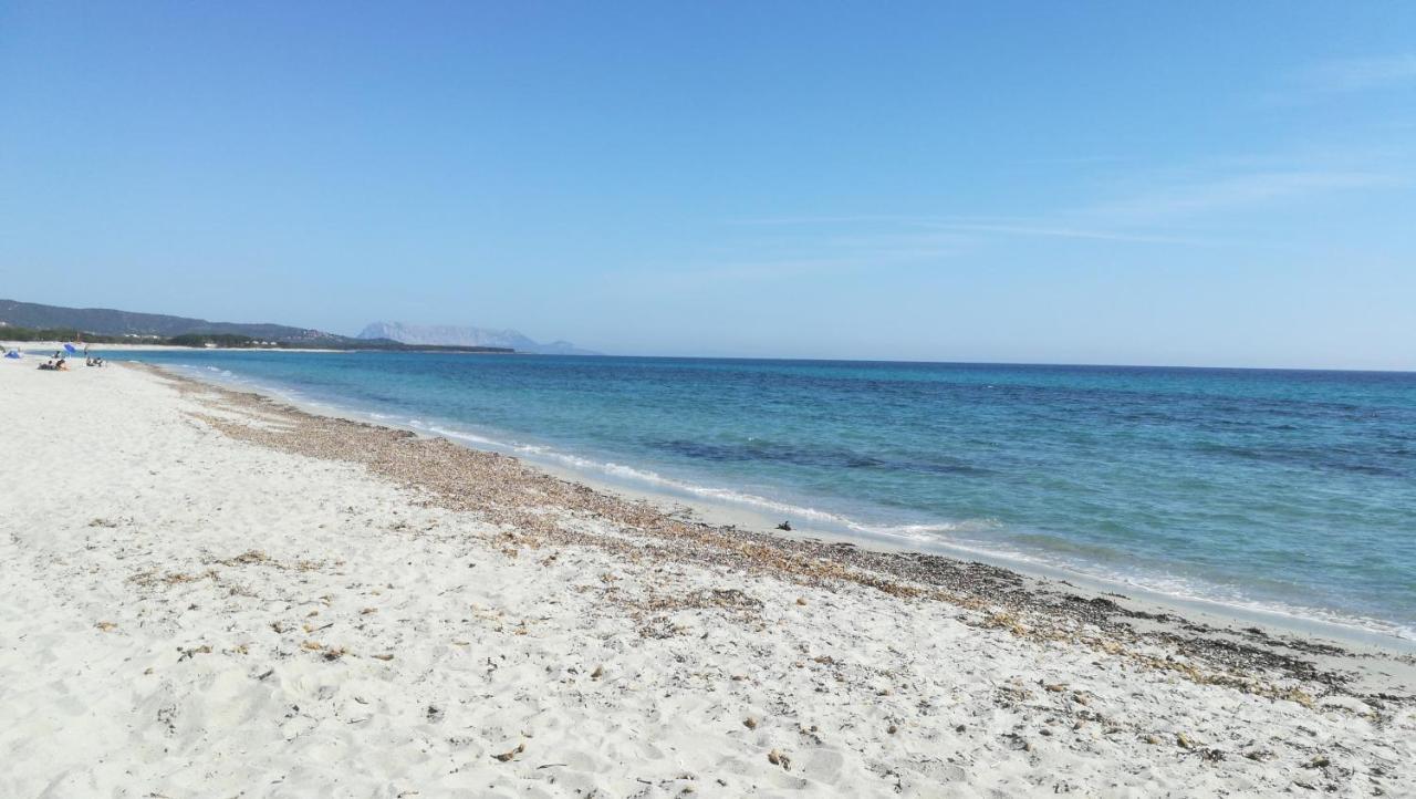 مبيت وإفطار بودوني A Lu Ponti المظهر الخارجي الصورة
